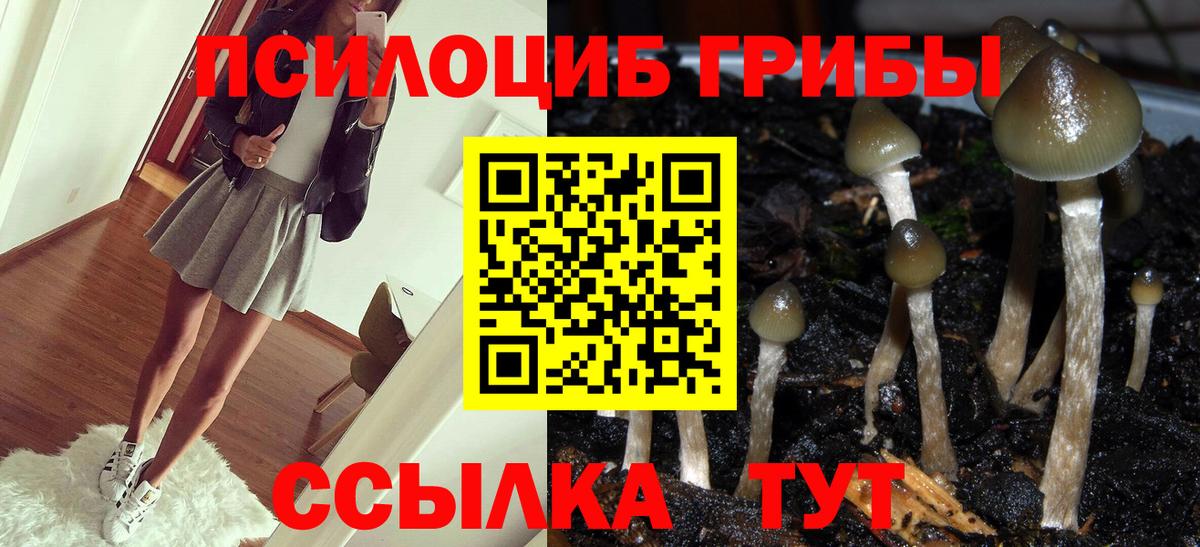 Псилоцибиновые грибы Magic Shrooms Нововоронеж
