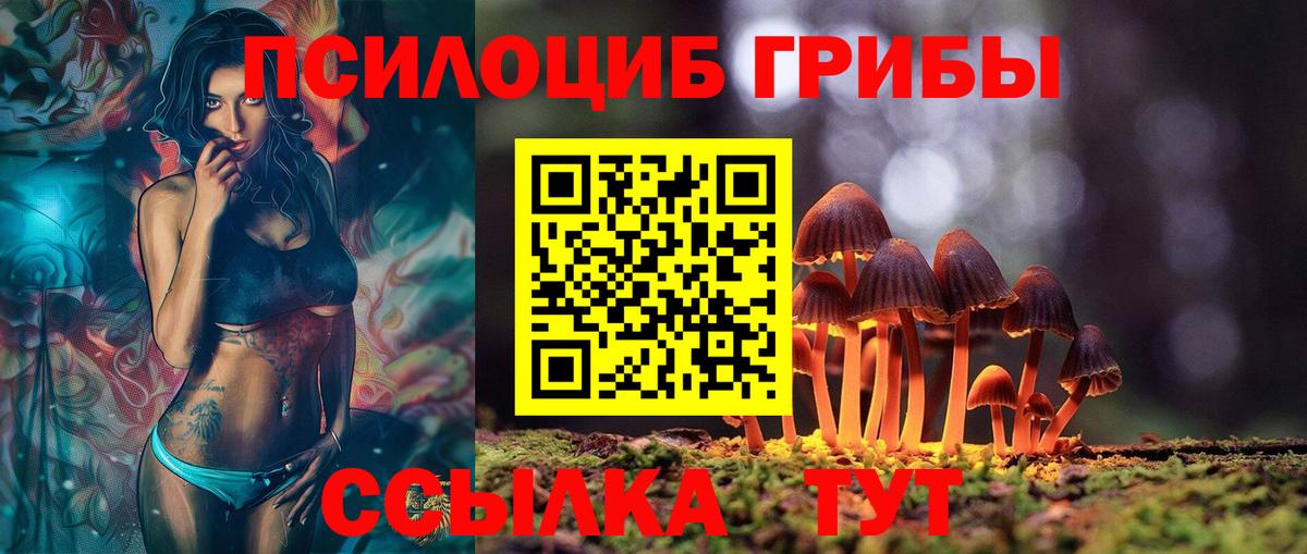 Нововоронеж  Псилоцибиновые грибы мухоморы  где продают   Галлюциногенные грибы Psilocybe  Вход с VPN 